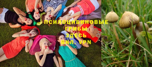 не бодяженный Арсеньев