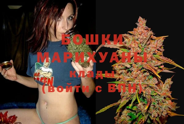 амф Аркадак