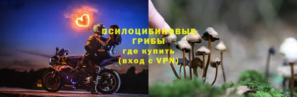 не бодяженный Арсеньев