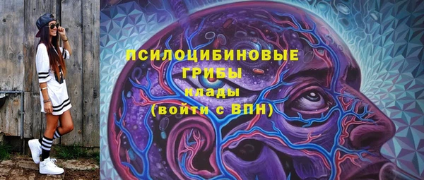 амф Аркадак