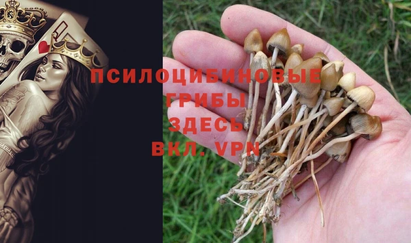 не бодяженный Арсеньев