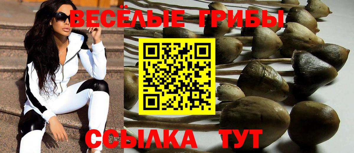 Галлюциногенные грибы Cubensis  Белово  закладка  Галлюциногенные грибы мухоморы 