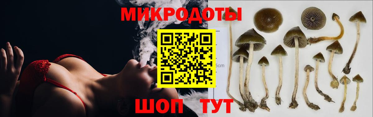 Галлюциногенные грибы Cubensis Белово